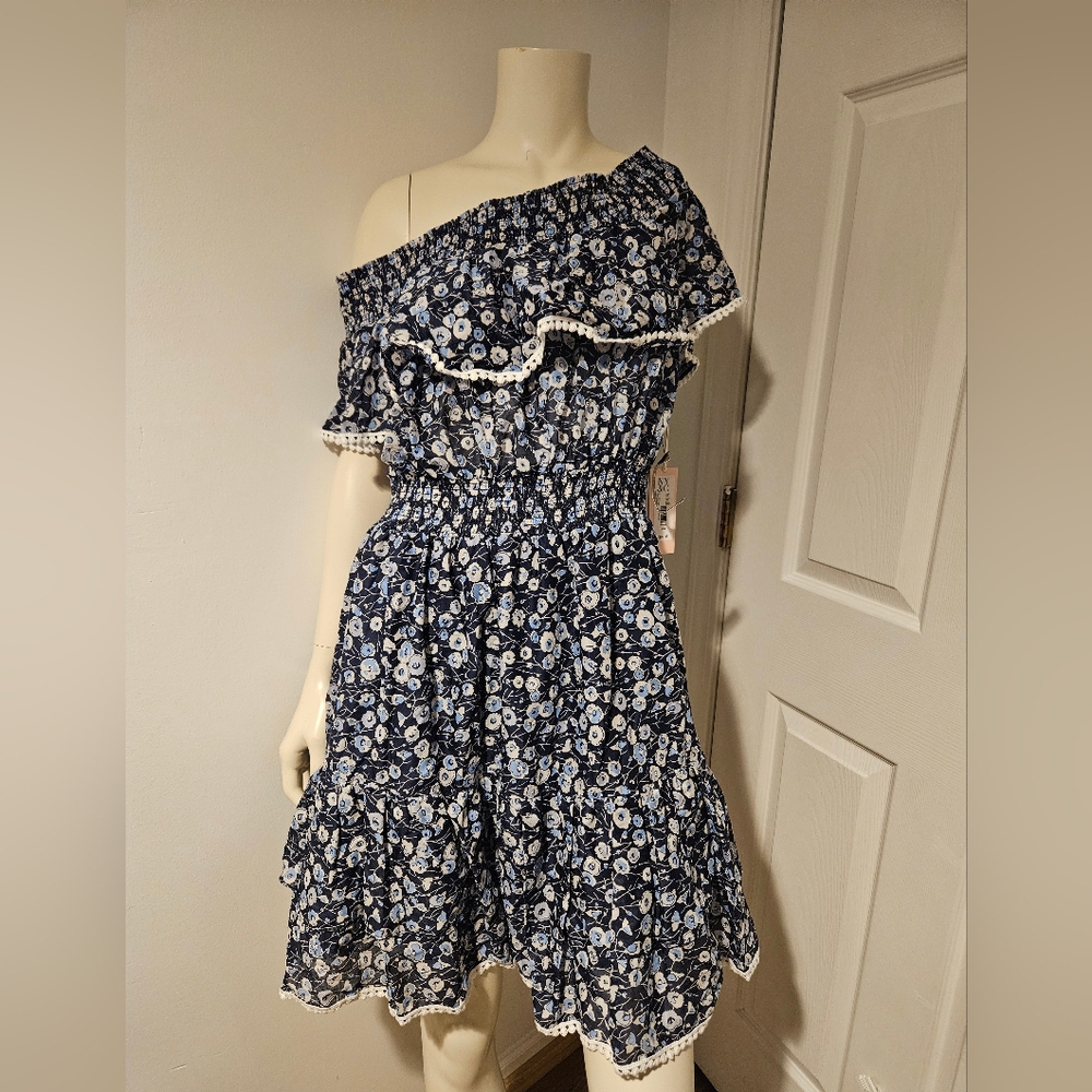 Eva Mendes For New Floral Blue and White Dress